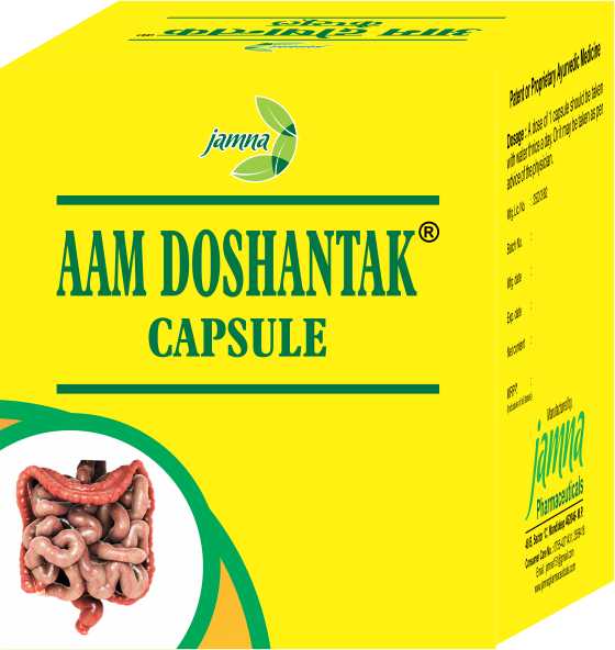 Aam Doshantak  CAPSULE - 30 CAP - Image 4