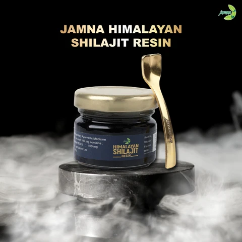 Himalayan Shilajit Resin - 20 gm - Image 4